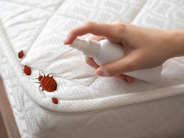 Best Residential Pest Control  in Trumansburg, NY